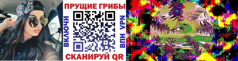 Галлюциногенные грибы ЛСД  darknet клад  Чапаевск 